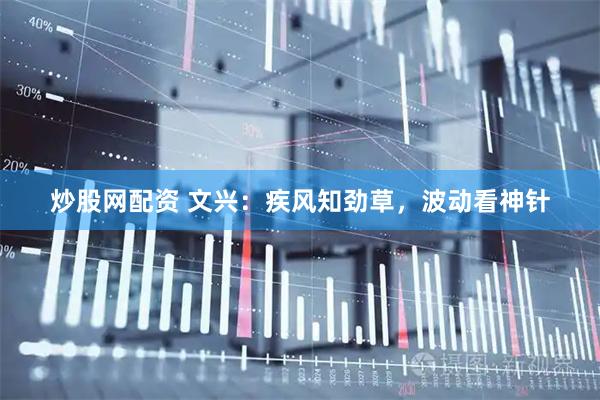 炒股网配资 文兴：疾风知劲草，波动看神针