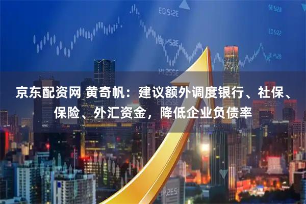 京东配资网 黄奇帆：建议额外调度银行、社保、保险、外汇资金，降低企业负债率