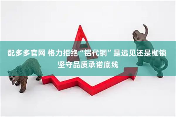 配多多官网 格力拒绝“铝代铜”是远见还是枷锁 坚守品质承诺底线