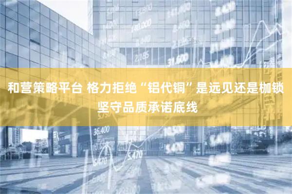 和营策略平台 格力拒绝“铝代铜”是远见还是枷锁 坚守品质承诺底线