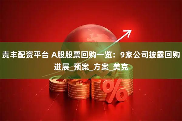 责丰配资平台 A股股票回购一览：9家公司披露回购进展_预案_方案_美克