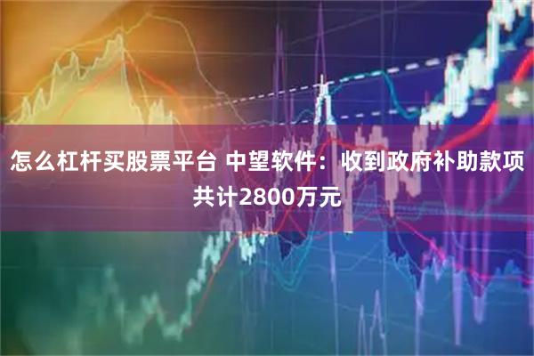怎么杠杆买股票平台 中望软件：收到政府补助款项共计2800万元