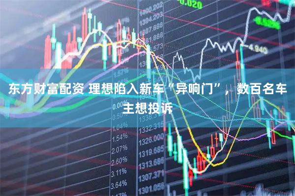 东方财富配资 理想陷入新车“异响门”，数百名车主想投诉