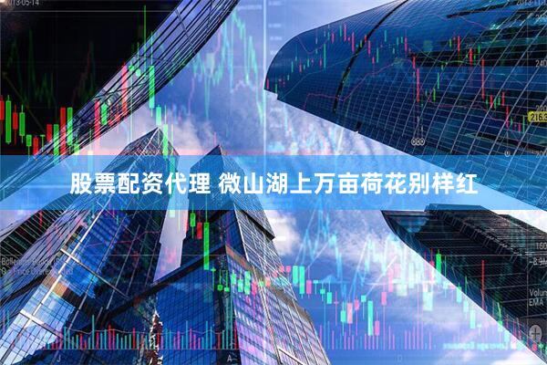 股票配资代理 微山湖上万亩荷花别样红