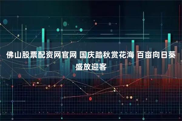 佛山股票配资网官网 国庆踏秋赏花海 百亩向日葵盛放迎客